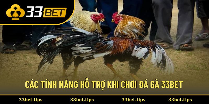Các tính năng hỗ trợ khi chơi đá gà 33BET