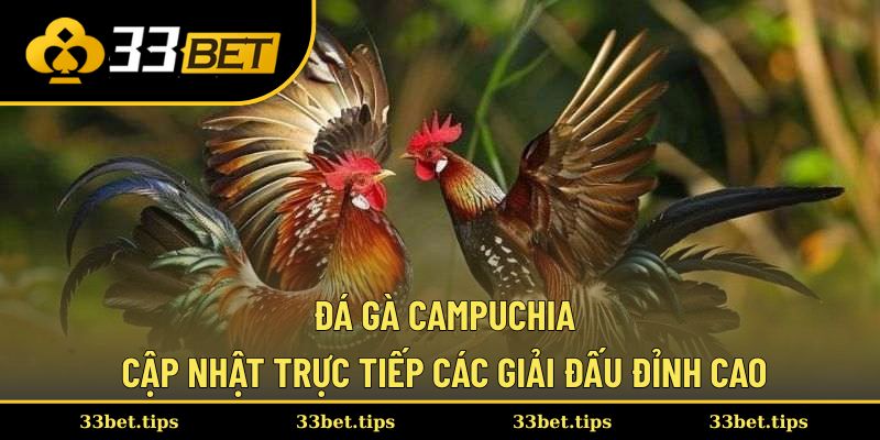Đá gà Campuchia