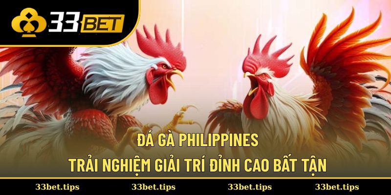 Đá gà Philippines