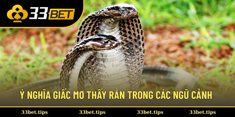 Ý nghĩa giấc mơ thấy rắn trong các ngữ cảnh khác nhau