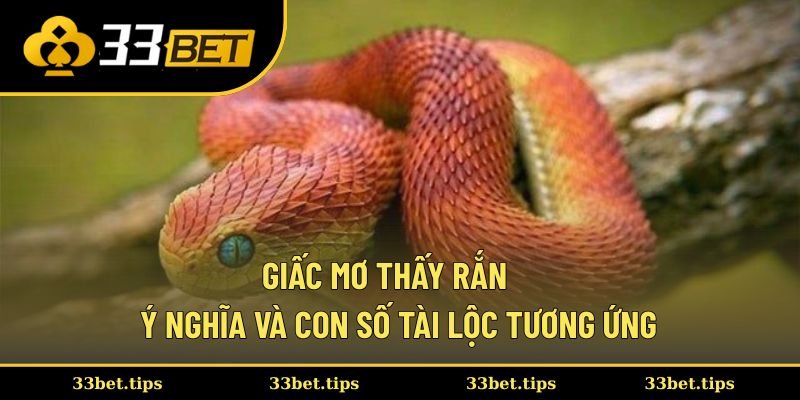 Mơ Thấy Rắn