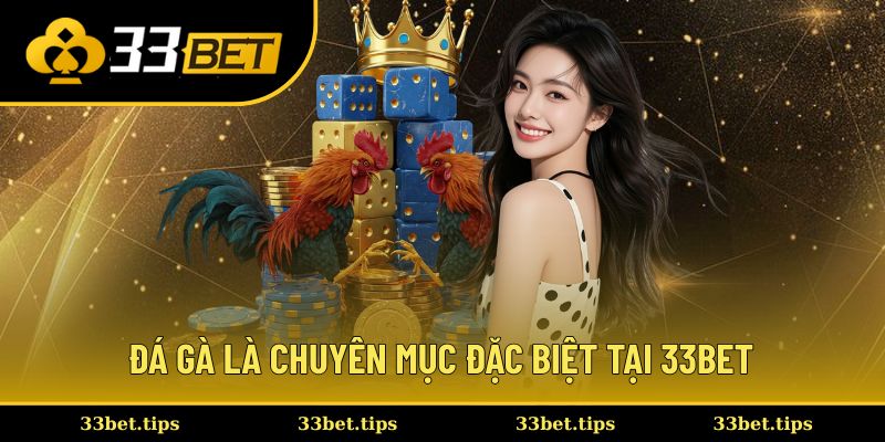 Sảnh đá gà nơi hội tụ chiến kê lừng danh