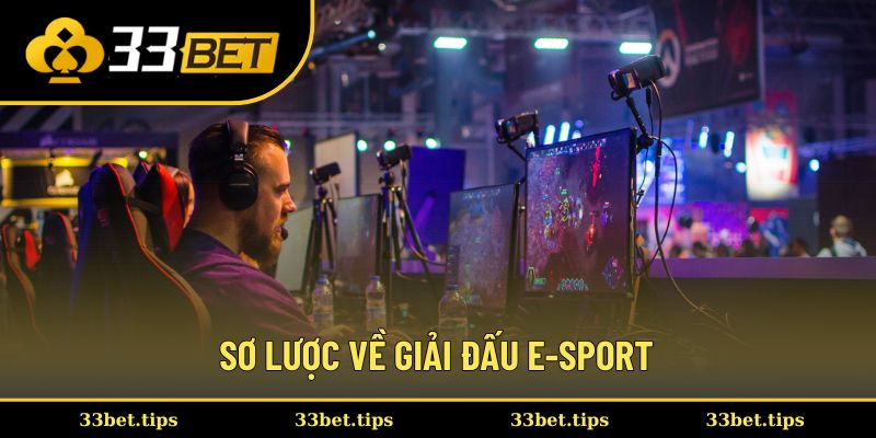 Sơ lược về giải đấu E-sport